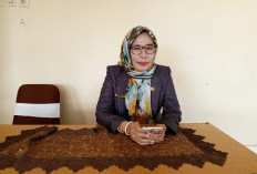 Pemda Kaur Mulai Seleksi Paskibraka 9 April 2025