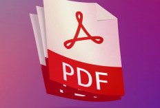 Begini Teknik Kompres PDF Tanpa Mengurangi Kualitas
