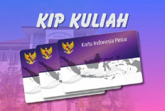 Meski Belum Dibuka, Ini  Syarat Pendaftaran KIP Kuliah 2025 Yang Perlu Dipersiapkan