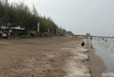 Indahnya Pantai Cemara, Tempat Wisata di Indramayu yang Menawarkan Panorama Alam dan Sejuk,Cocok Dikunjungi 