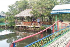 Kampoeng Kepiting, Wisata Kuliner di Cilacap dengan Suasana sejuk dikawasan Mangrove