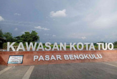 Sejarah Nama Kelurahan Pasar Bengkulu, Dulunya Tempat Berkumpul Masyarakat dan Transaksi Perdagangan