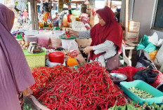 Tim Satgas Pangan Polres Bengkulu Selatan, Cek Harga Pasar Serta Stok Beras