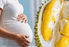 6 Manfaat Hebat Mengonsumsi Durian Selama Kehamilan, Masih Banyak yang Belum Tahu