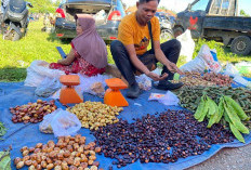 Permintaan Banyak, Harga Jengkol di Kedurang Meroket Hingga Rp 40.000 per Kilogram