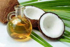 Berikut ini 3 Khasiat Minyak Kelapa Dicampur Madu untuk Kesehatan, Cocok Banget untuk Pencernaan
