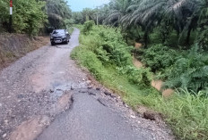 Tinjau Jalan Ketahun - Napal Putih, Berlian: Kita Sudah Sepakat, 2025 Dibangun 