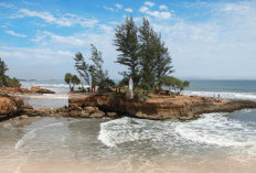 Menjadi Tempat Favorit Liburan Wisatawan, Ini Keindahan Tempat Wisata Pantai Sungai Suci di Bengkulu 