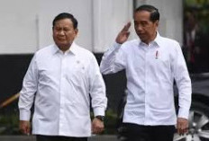 Sah! Mulai Tahun 2025, Guru Honorer Seluruh Indonesia Akan Mendapatkan Tambahan Gaji Sebesar Rp. 2 Juta