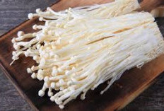 Mau Masak Jamur Enoki?  beginiTips Memasak Jamur Enoki