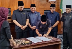 Sidang Paripurna, 6 Propemperda Disetujui, Serta Realisasi Belanja APBD Kaur Capai Rp 910,5 M