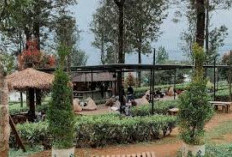 5 Rekomendasi Tempat Makan Murah di Bogor, Mulai dari Rp 10.000 an aja