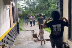 Kadinsos Kota Bengkulu Ungkap Eks Kantor KONI Provinsi Jadi Tempat Berkumpul Gelandangan
