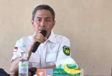 Degradasi Lahan Pertanian Bengkulu Selatan Capai 25 Persen, Alih Fungsi Jadi Ancaman Serius