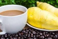 Enaknya Kopi Durian Khas Bandar Lampung dengan Sensasi Creamy Berpadu Rasa Manis dan Asam, Pas Banget Dilidah!