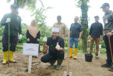 Pimpin Penanaman 49 Ribu Pohon, Helmi Hasan: Laporkan Jika Ada Sawit di Pinggir Sungai!