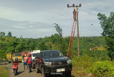 Truk Fuso Tersangkut Kabel, Arus Lalin Macet