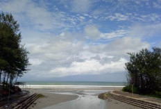 Pantai Panjang Bengkulu Memiliki  Potensi Besar Sumber PAD