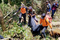 Ini Dugaan Penyebab Pria yang Ditemukan Meninggal di Tengah Hutan di Mukomuko 