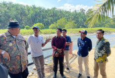 Kurang 1x24 Jam, Bupati Bengkulu Selatan Rifai Langsung Bantu Rakyat