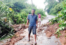 Banjir dan Longsor di Desa Ulok Pandan Kaur