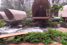 Pesona Taman Kopi Guntang, Tempat Wisata Nyaman dan Estetik di Bandung, pilihan terbaik untuk melepas penat. Y