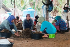 UMKM Home Industri CPO Dihentikan, Puluhan Buruh Kehilangan Penghasilan