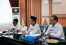 Rencana Tambang Emas di Seluma, Pemprov Gelar FGD Bahas Rekomendasi Gubernur