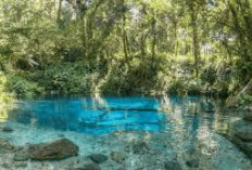Yuk coba Kunjungi 4 Tempat Wisata di Jambi, mulai dari danau yang indah hingga yang tinggi
