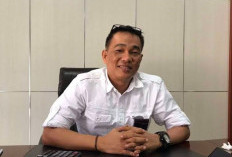 Stok Beras Bengkulu Aman untuk Natal dan Tahun Baru, Bulog Pastikan Harga Stabil dan Distribusi Lancar