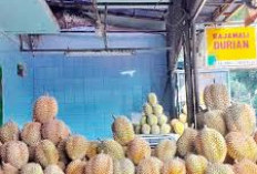 5 Rekomendasi Tempat Makan Durian Di Bandung, Ada Es Krim Durian Hingga Ketan Durian