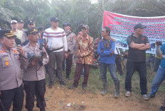 Bupati Kaur Dukung Penuh Tindakan Tegas Polres Kaur Terkait Aksi Anarkis di PT DSJ Kabupaten Kaur