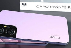 Yuk Simak Perbedaan Spek, Harga Oppo Reno 12 dan Oppo Reno 12 Pro: Hadir Dengan Desain Tipis dan Canggih!