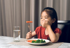 Anak Malas Makan Nasi? Ini 4 Manfaat Nasi untuk Anak dalam Masa Pertumbuhan