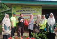 Pimpinan Wilayah Aisyiyah Bengkulu Bagikan Bibit Pohon di Sumur Dewa