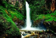 Yuk Kunjungi 4 Tempat Wisata Air di Banjarnegara Jateng, Cocok banget buat healing