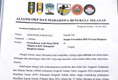 BPK Diminta Tidak Cawe-Cawe Audit Anggaran KPU BS