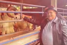 Bupati BS Rifai Kunjungi Jombang Jawa Timur Bahas Kambing