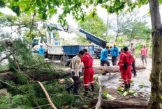 Cuaca Ekstrem Masih Mengintai Bengkulu, BPBD Tingkatkan Kewaspadaan Bencana