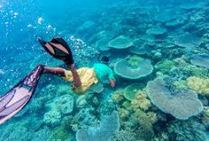 5 Tempat Wisata di Sulawesi Tenggara yang Cocok Dikunjungi Bersama Keluarga 