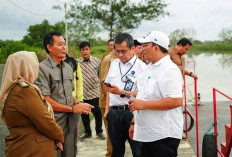 Asisten Deputi Bidang Transportasi Kementerian Kemaritiman Cek Pelabuhan Nusantara