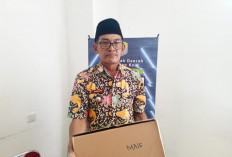 Terima Dana Desa Terbesar, Tanjung Aur Dapat Perhatian Khusus dari Camat Maje