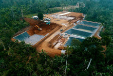 Presiden Prabowo Resmikan Proyek Energi Panas Bumi Pertamina di Lampung, Simbol Kemandirian Energi Nasional
