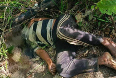 Breaking News !!! Warga Air Lakok Digegerkan Dengan Penemuan Mayat