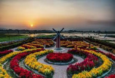 Pesona Taman Bunga Celosia di Bandungan, Tempat Wisata Favorit Saat Libur Maulid Nabi