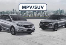 Perbandingan Mobil Jenis SUV dan Mobil Jenis MPV, Simak dan Jangan Diabaikan