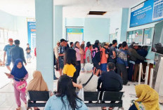 Pelayaran ke Pulau Enggano Kembali Dibuka, Warga Antusias Antre Tiket 