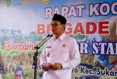 Pemkab Seluma Berupaya Tingkatkan Luas Tambah Tanam Padi