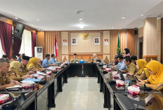 Pulau Baai Disiapkan Jadi Gerbang Ekonomi Bengkulu