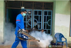 Dinkes Putus Mata Rantai Penyebaran Nyamuk dengan Fogging di 2 Lokasi